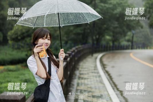 网站攻略：如何在“黑料不打烊”里追逐自己的好奇心！